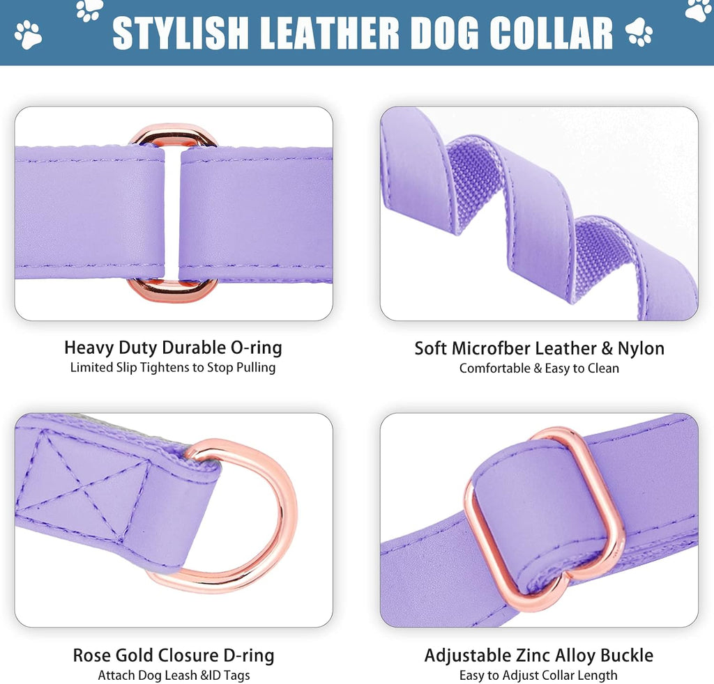 AaufiLux limited slip no pull dog collar close up stitching
