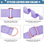 AaufiLux limited slip no pull dog collar close up stitching