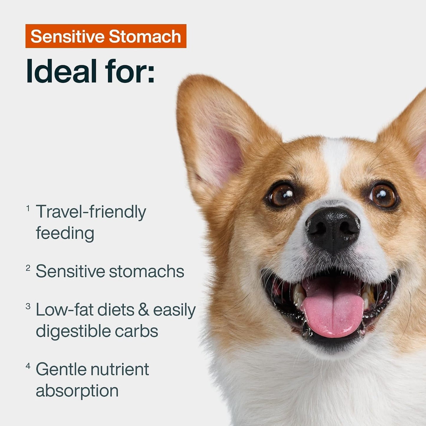 JustFoodForDogs shelf stable fresh wet dog food for gentle digestion seven pack box