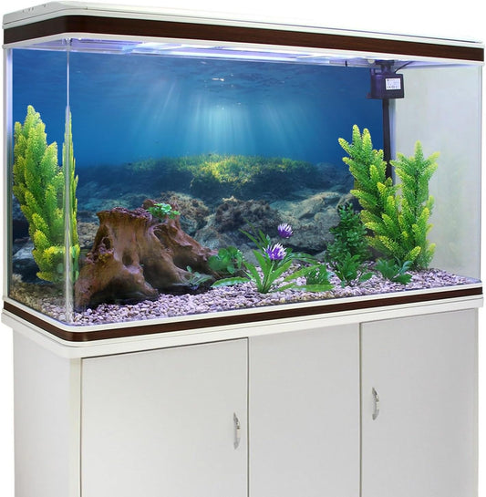 Close up view of the durable non glare material of the AWERT underwater stone background
