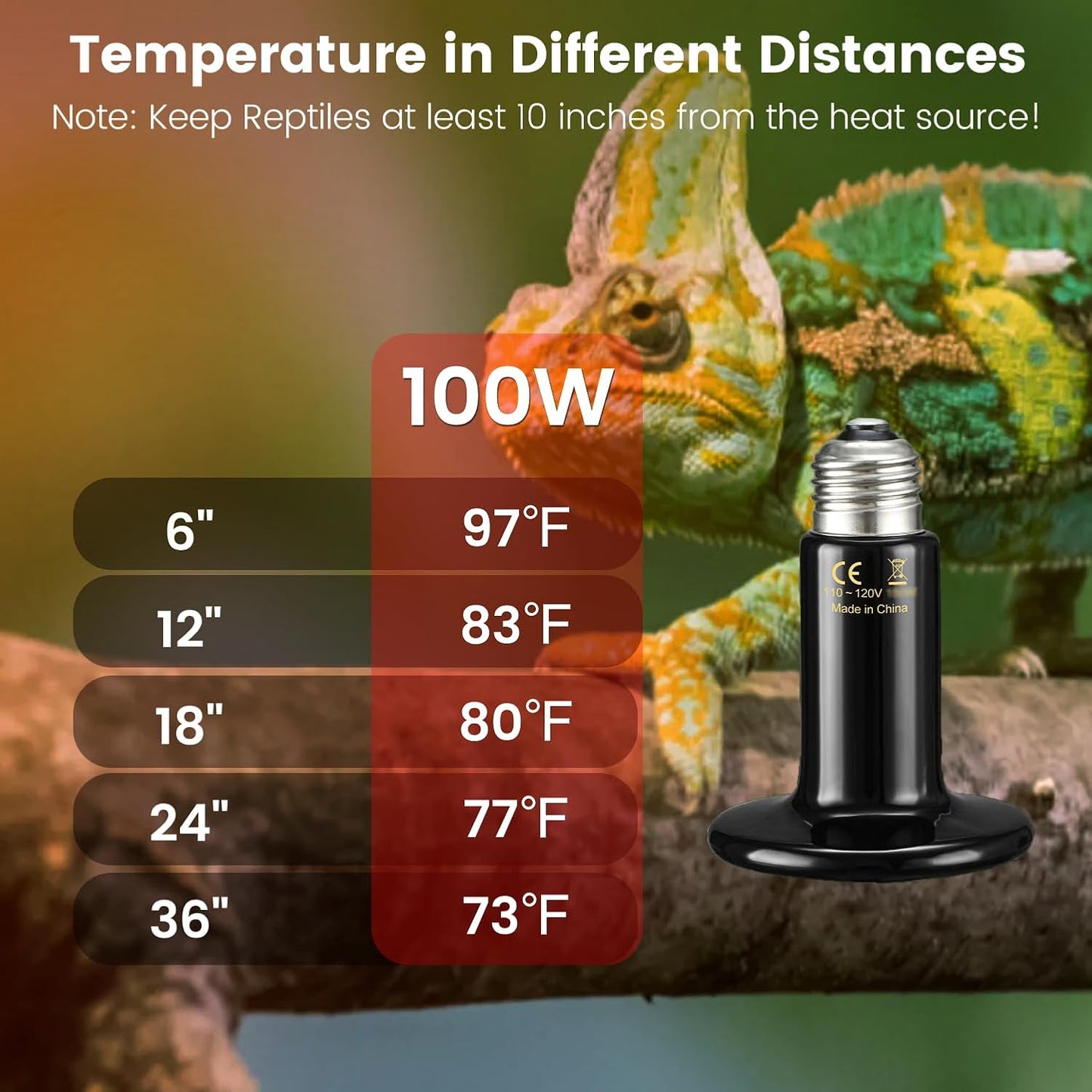 REPTITRIP dual dome reptile lamp independent switches setup