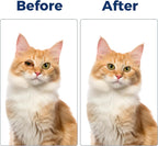 HAOYUSTORE non-medicated eye care balm for dogs and cats.