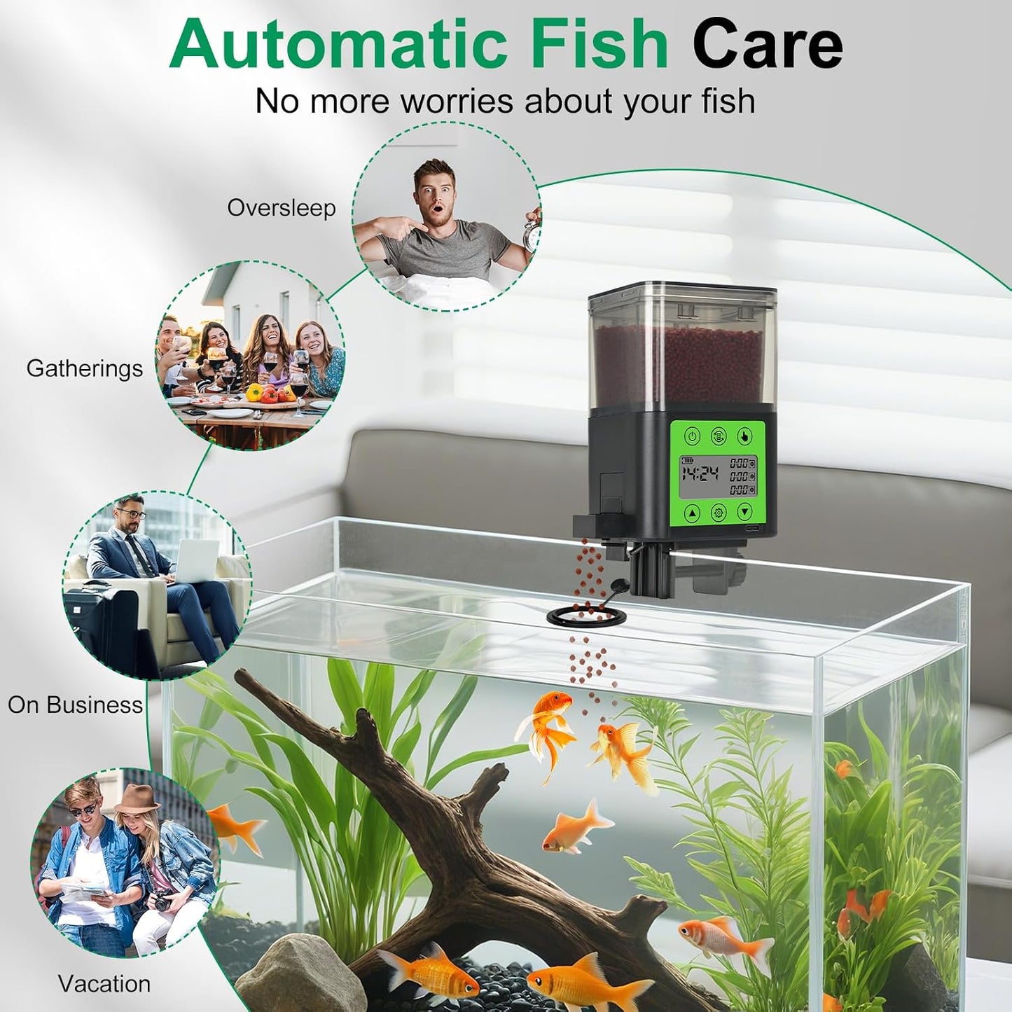 Lychee vacation fish food dispenser showing the manual feeding button and setting controls.