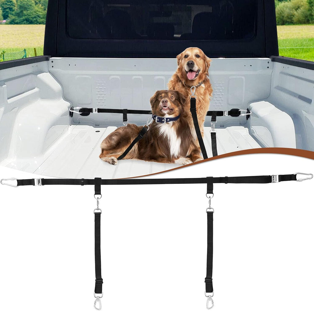 Detailed view of rust-proof hardware on dog leash