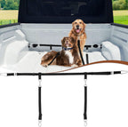 Detailed view of rust-proof hardware on dog leash
