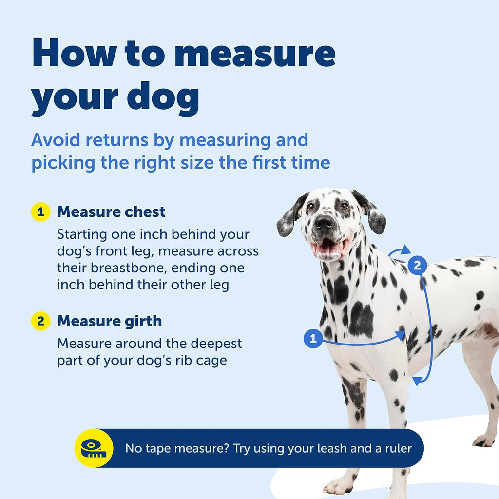 PetSafe large dog harness worn on retriever