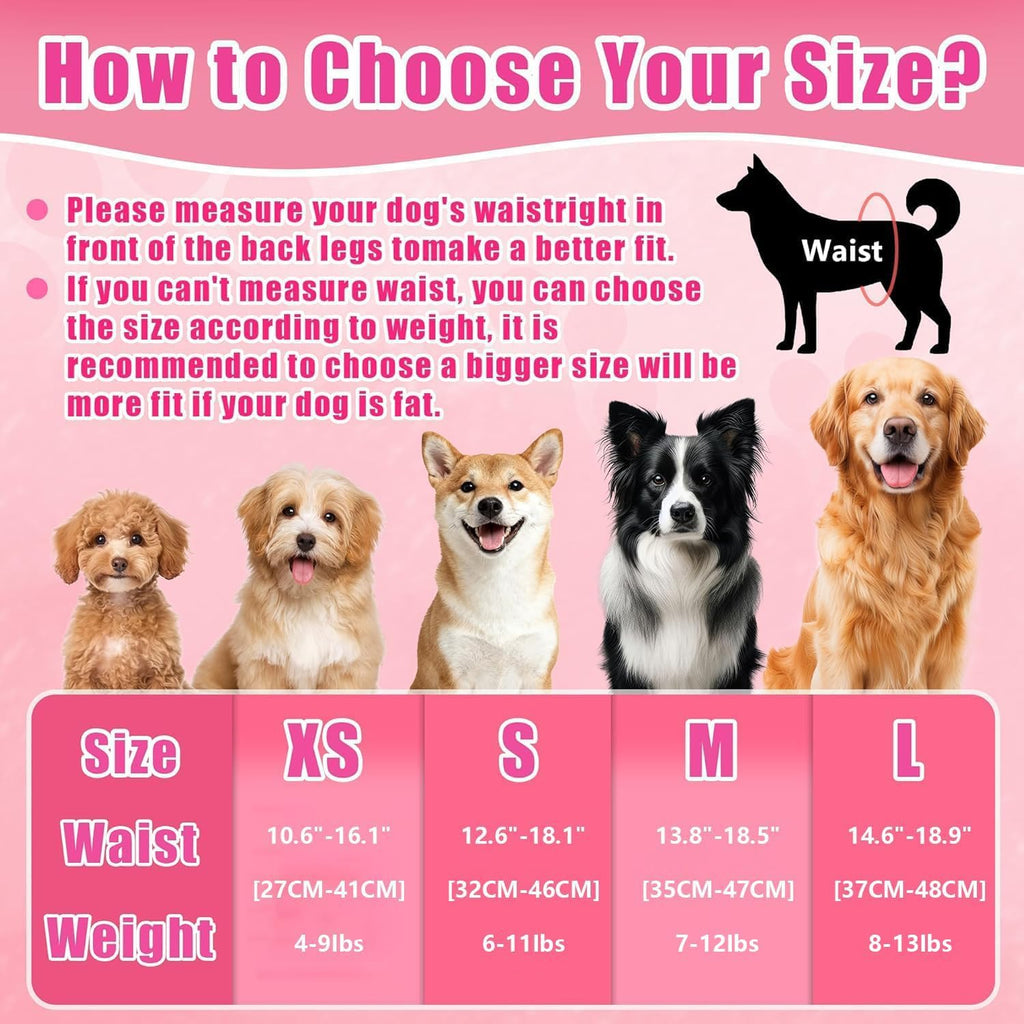 Super absorbent quick drying core layer details of female dog diaper