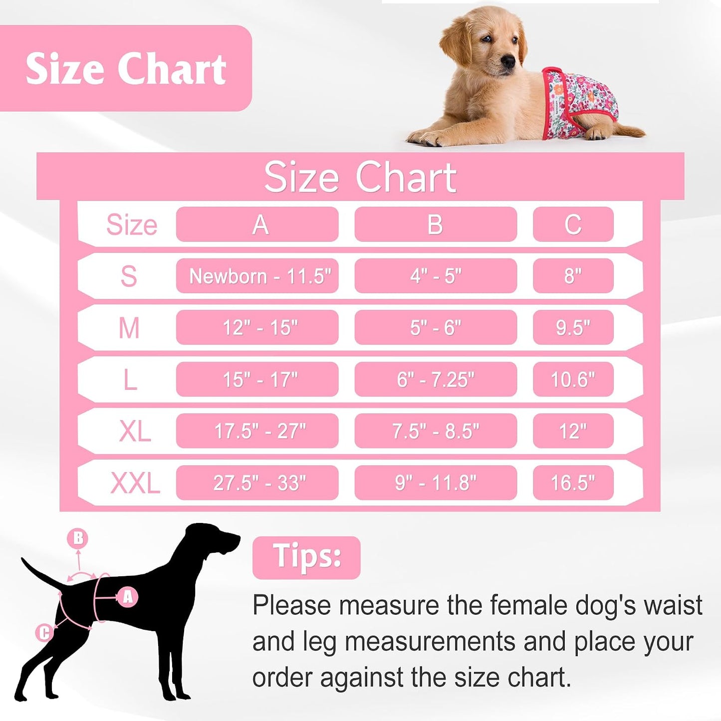 Barklincharm small female dog diaper showing adjustable snaps and secure fasteners