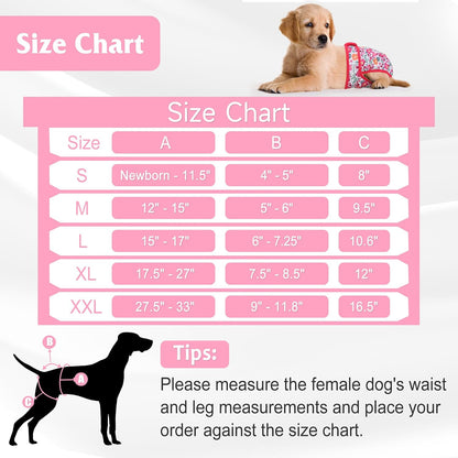 Barklincharm small female dog diaper showing adjustable snaps and secure fasteners