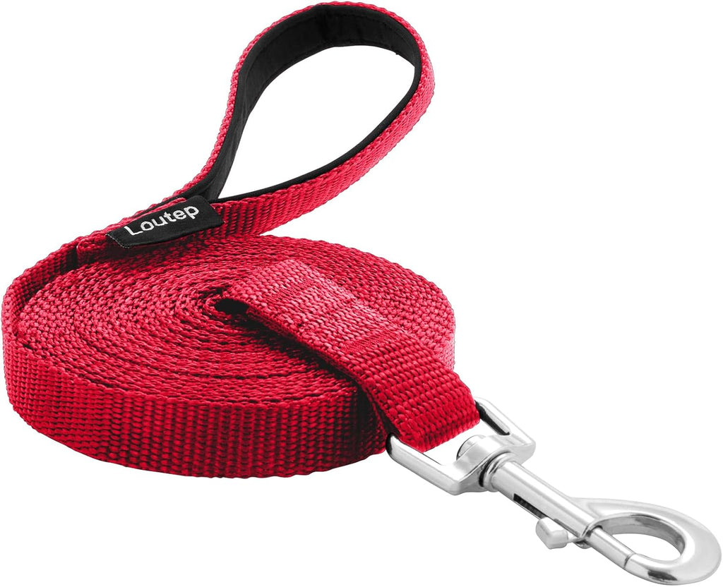 Waterproof Dog Leash 10ft, 16ft, 30ft, 50ft PVC Recall Long Line Dog Leash Beach Swimming Tracking Training Dogs Lead for Small, Medium and Large Dogs - Image 10