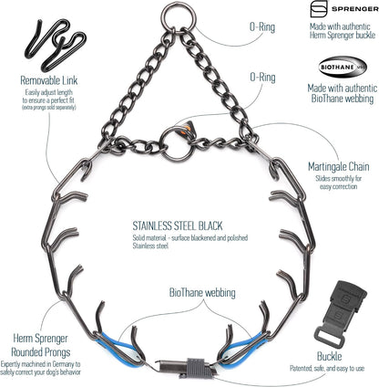 Herm Sprenger dog pinch collar close up on the premium ClicLock quick release buckle system
