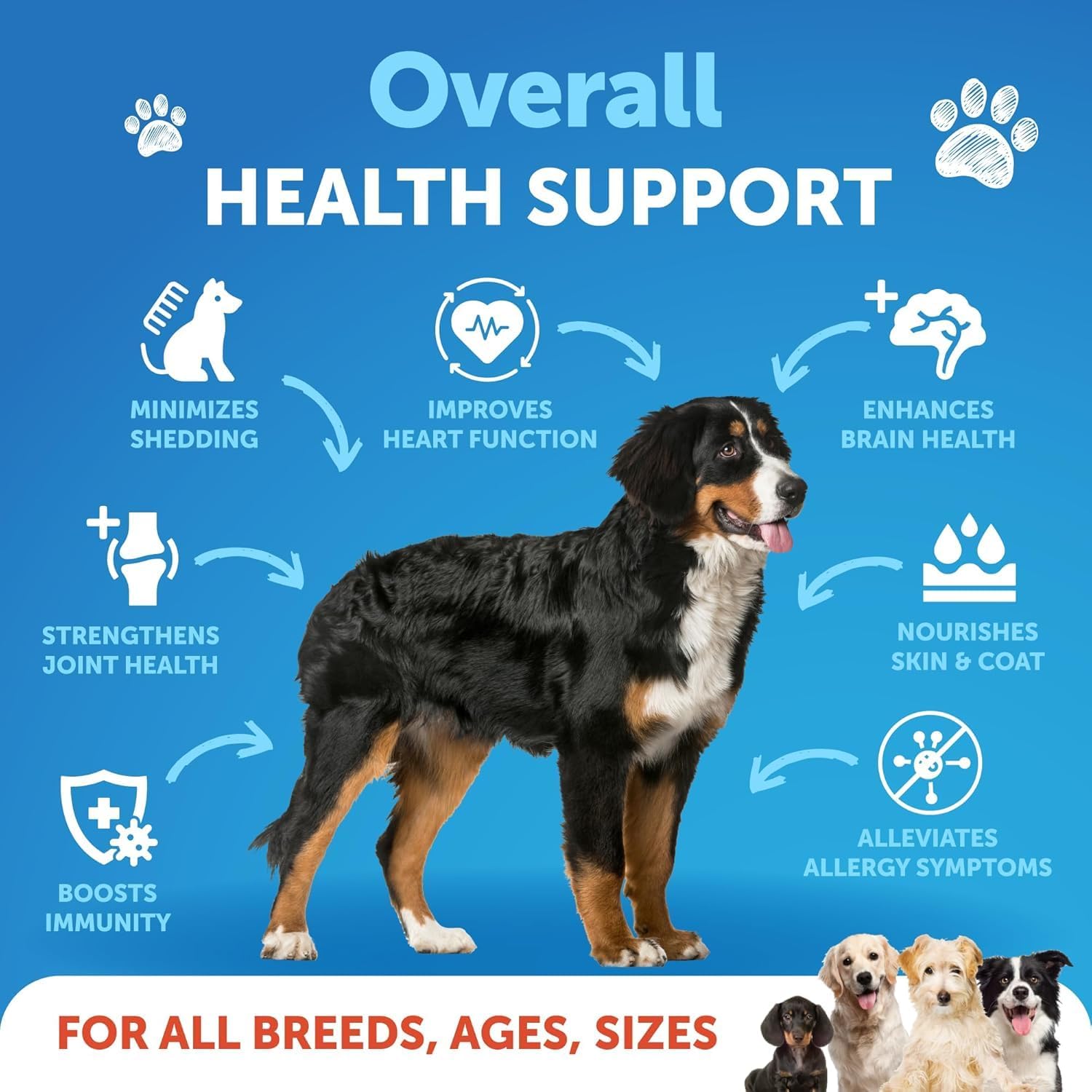 Artullano dog liquid fish oil supplement with pump dispenser for easy feeding.