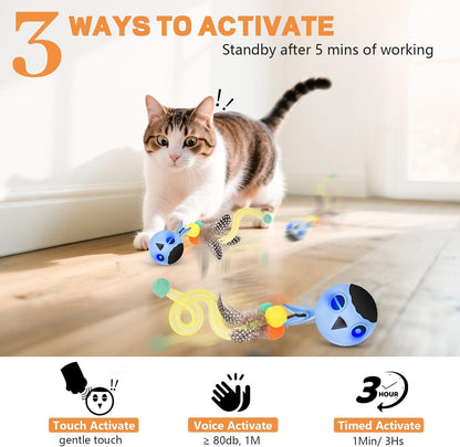 Kiwilove interactive cat toy ball showing charging port