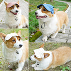 Adjustable chin strap mechanism on wyewog dog hat