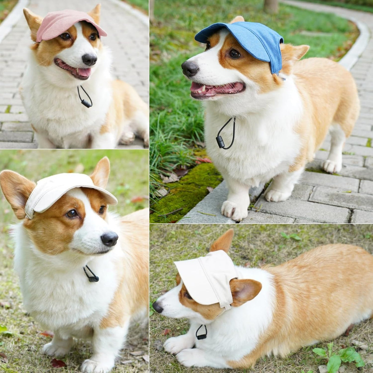 Adjustable chin strap mechanism on wyewog dog hat