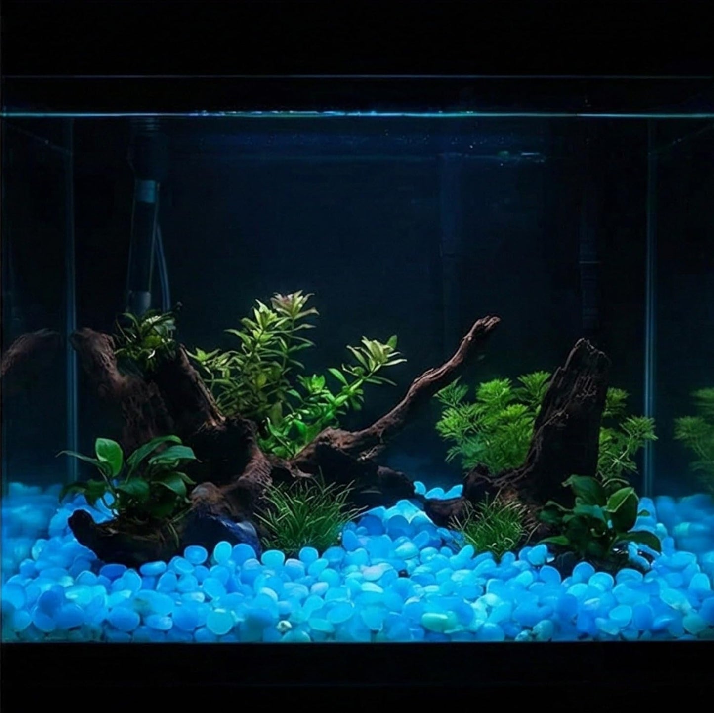 Blue glowing resin sand used in a succulent planter