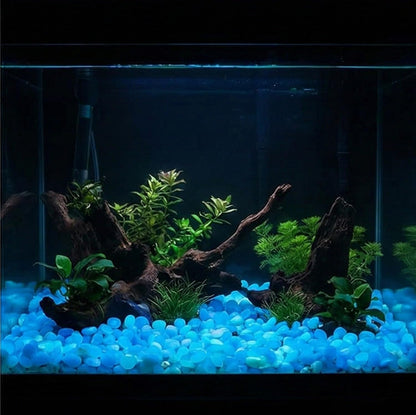 Blue glowing resin sand used in a succulent planter