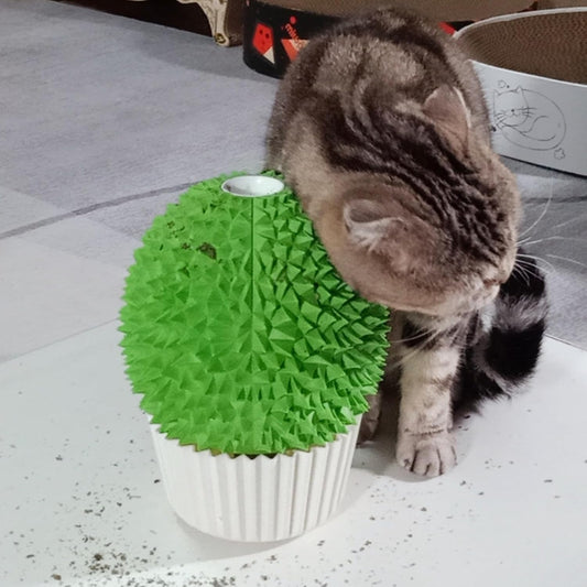 Green cat face scratcher and massage comb installed on a wall