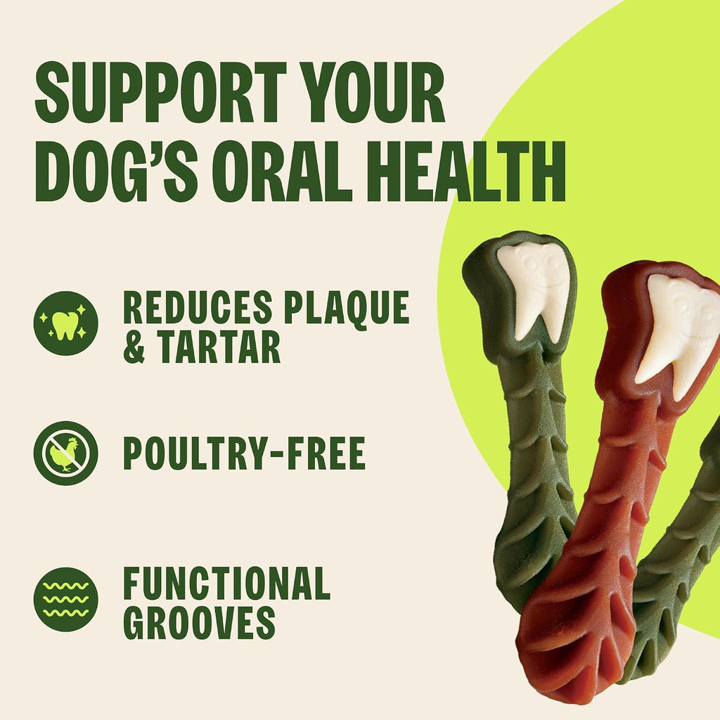WHIMZEES dental treats for plaque and tartar control in large dogs