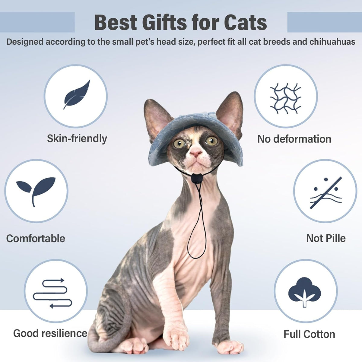 Dentrun cat accessory for birthday party photoshoot