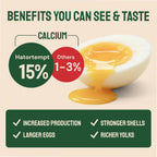 Oyster shell and poultry grit texture in feed mixture