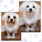 Professional pet grooming tool kit for eye mucus cleaning