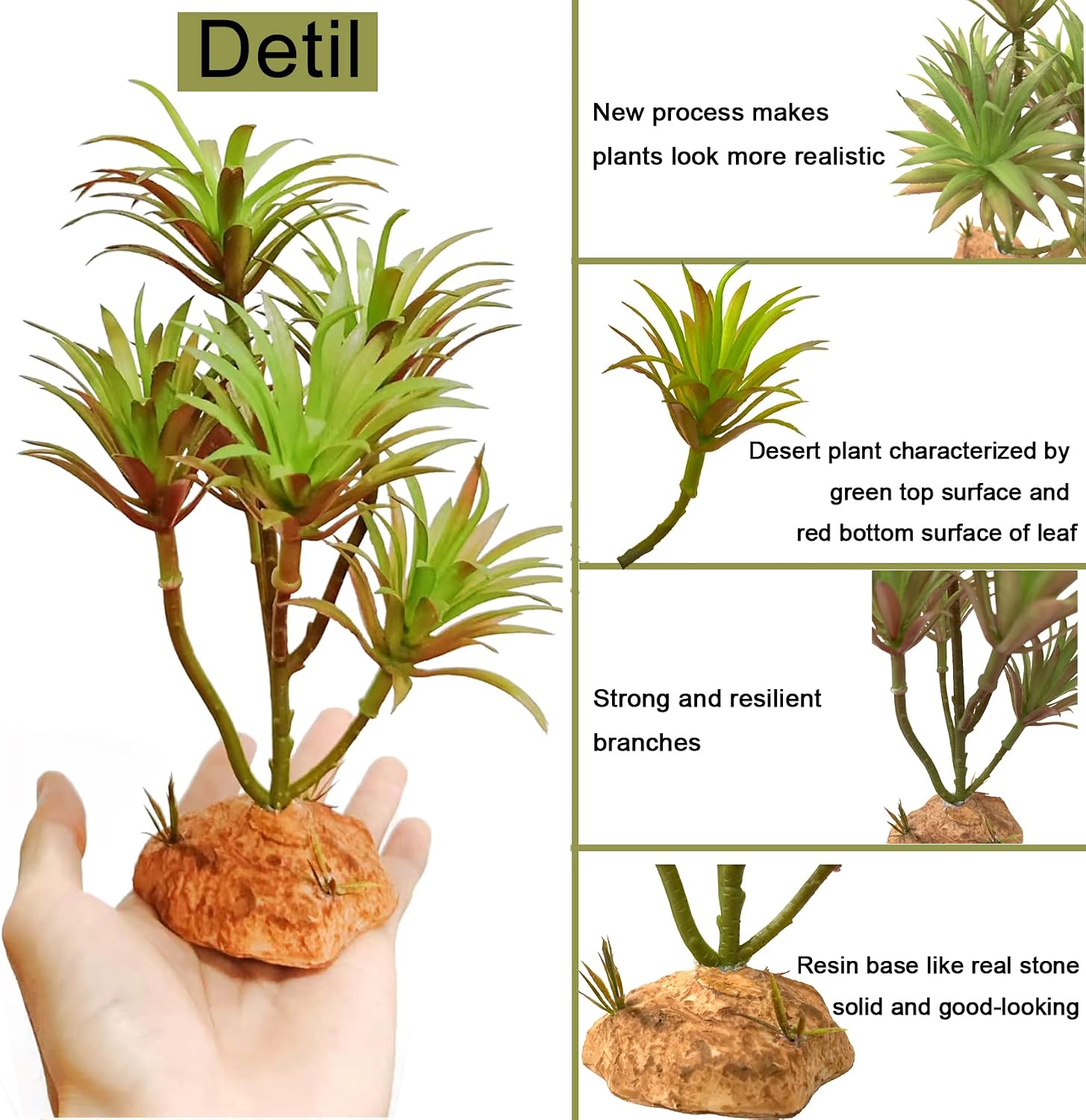 Woyrise tillandsia terrarium plant top down view