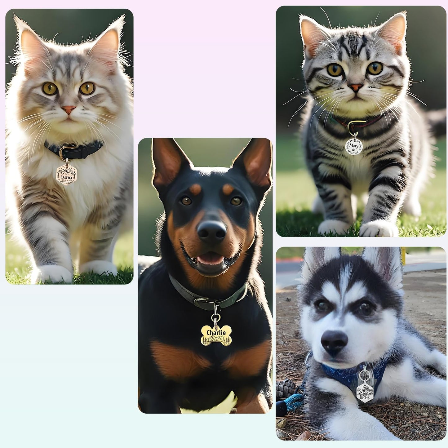 HAVEATAG customized metallic pet collar accessory for dogs and cats.