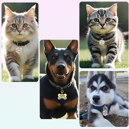HAVEATAG customized metallic pet collar accessory for dogs and cats.