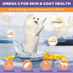 NATURE TARGET 6 billion CFU dog supplement for digestive health