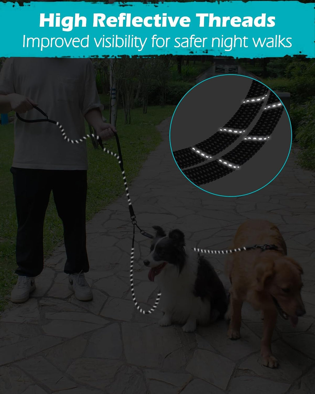 PetBonus rock climbing rope dual dog leash durable metal locking clasp