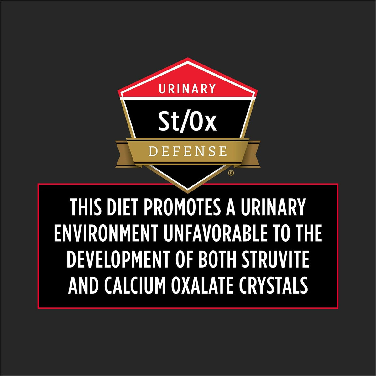 Ten pound bag of Purina veterinary exclusive cat food highlighting high protein low carbohydrate text.