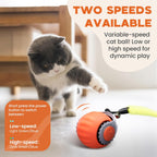 Rechargeable cat toy ball showing charging port