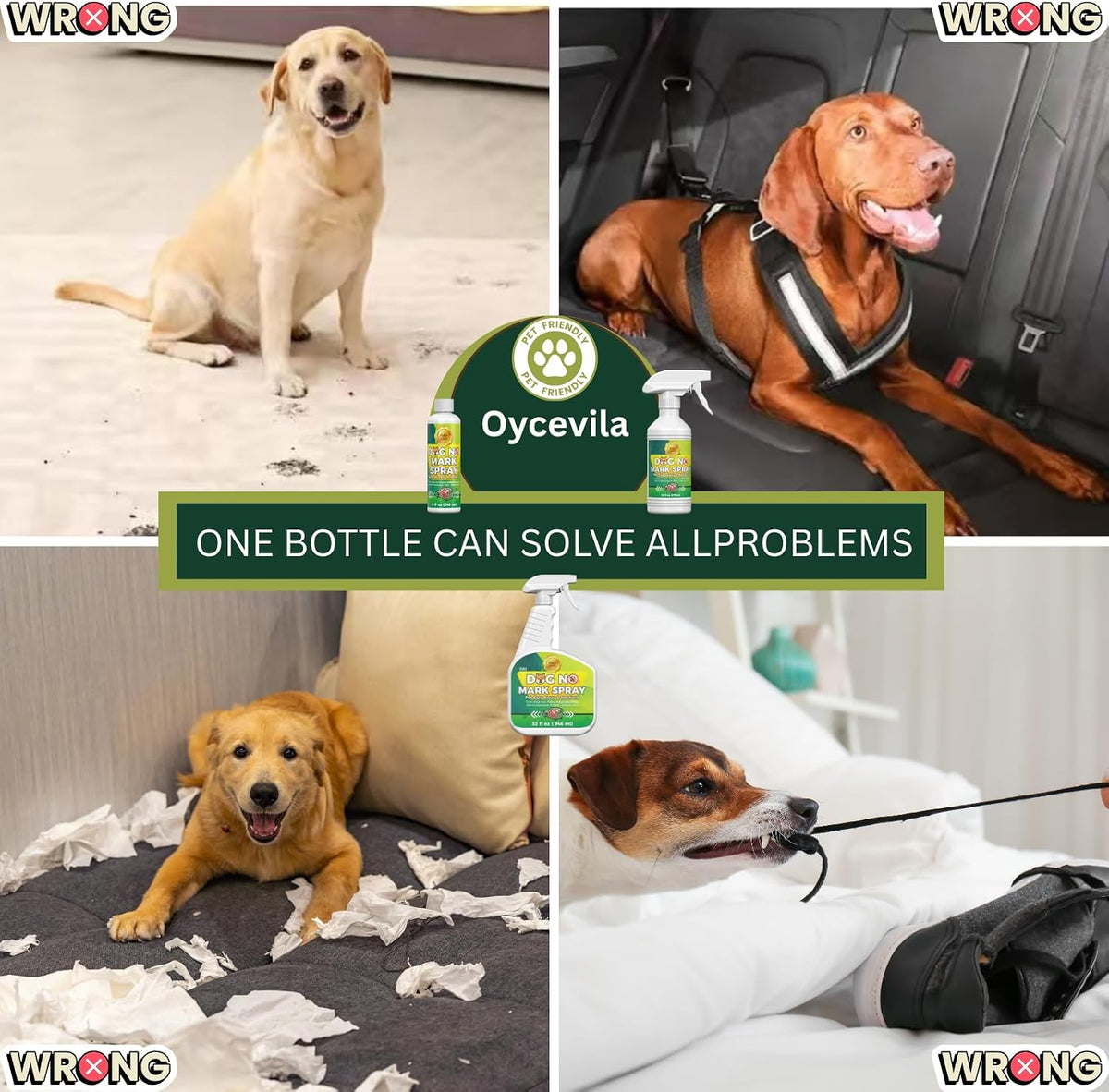 Oycevila pet training spray for stopping unwanted marking