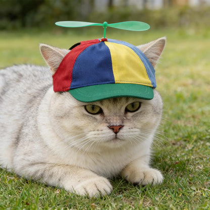 Niceyst rainbow helicopter hat for pets on model