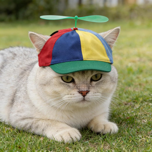 Niceyst rainbow helicopter hat for pets on model