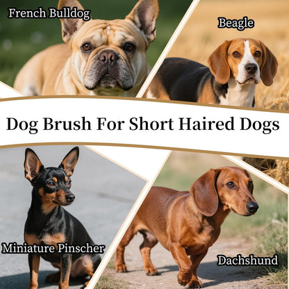 PetJoyHaven puppy essentials grooming brush with ergonomic wooden handle side view
