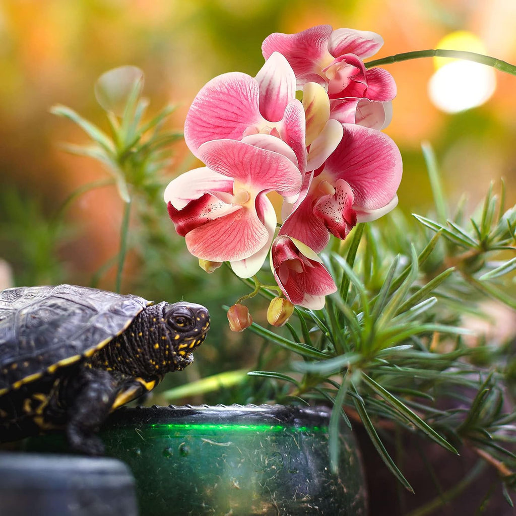 Chuangdi artificial phalaenopsis orchid suction cup attachment detail