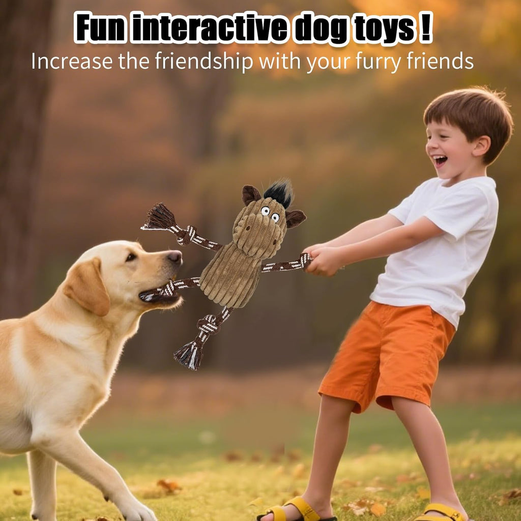 Dog playing with Luudoogs monkey squeaky toy