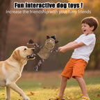 Dog playing with Luudoogs monkey squeaky toy