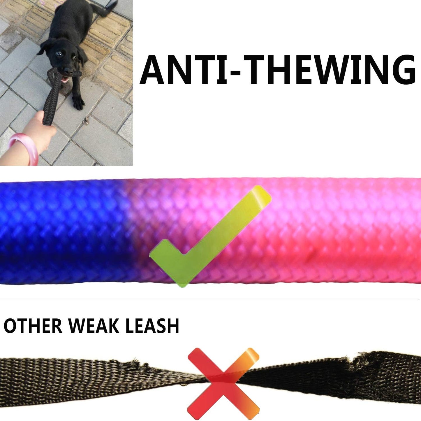 Sonqueen three way no tangle dog walking system package components