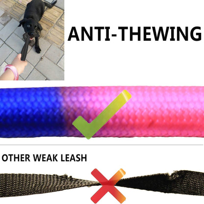 Sonqueen three way no tangle dog walking system package components