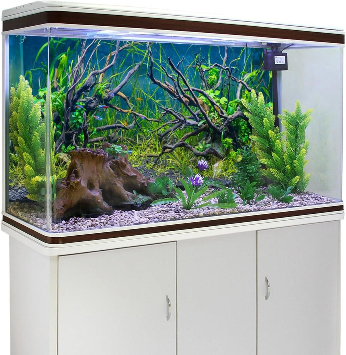 Awert 24x12 inches aquarium poster layout