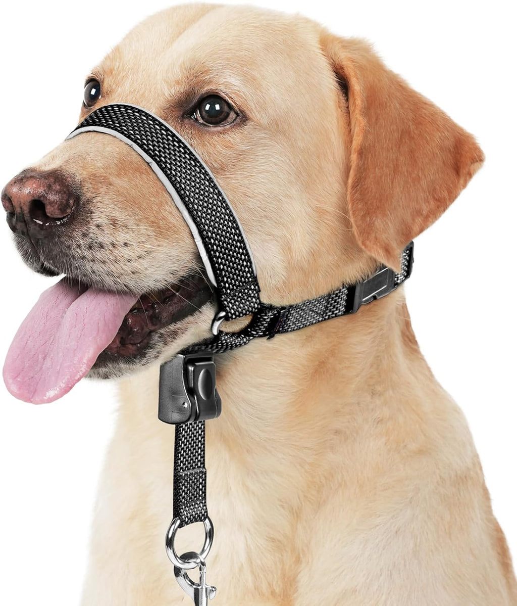 Barkless dog head collar black medium front view on a dog