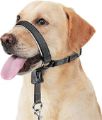 Barkless dog head collar black medium front view on a dog