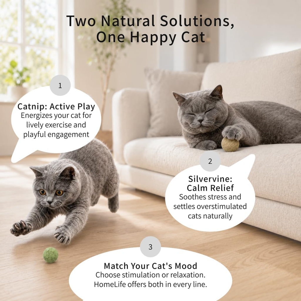 Home Life Pet Snuggler lightweight kitten toy engineered for swift movements