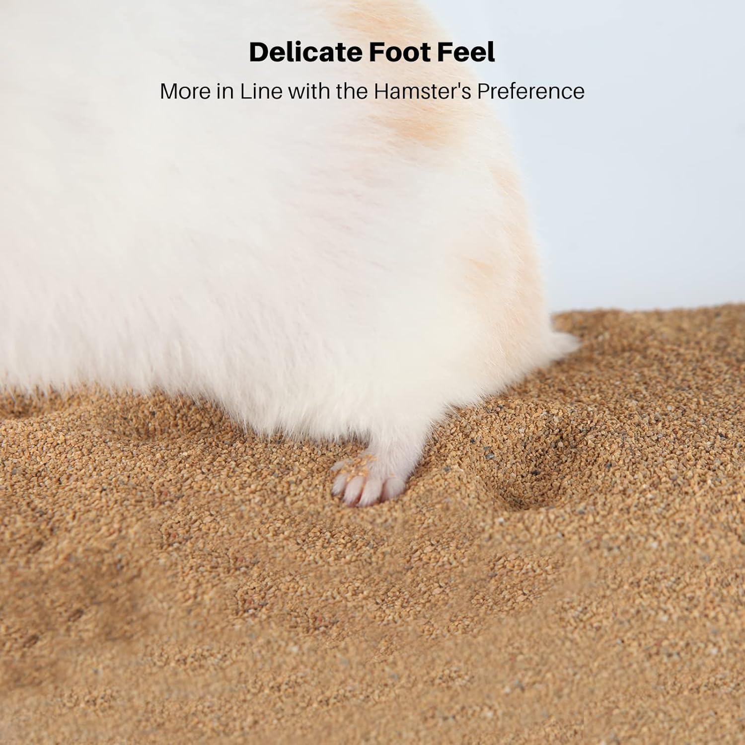 Hamster using Bucatstate dust-free sand bath