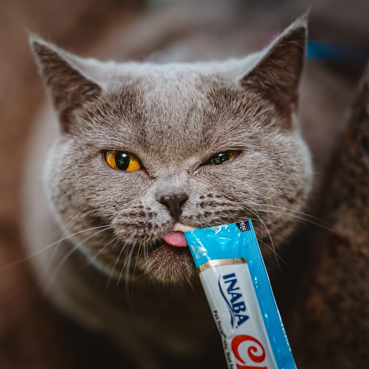 Cat food bowl topped with squeezable puree treat