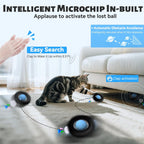 Indoor cat playing with Orsda fast rolling ball toy