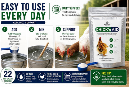 Chaffhaye Shop poultry care electrolyte powder pack resting on clean surface